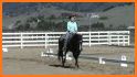 My Western Horse – Childproof related image