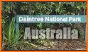 Rainforest Plants of Australia related image