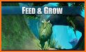Swim - Fish feed and grow related image