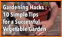 Gardening Tips related image
