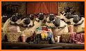 Shaun the Sheep Brain Games related image