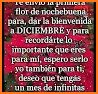 Feliz Navidad frases bonitas related image