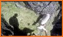 Lamb Runner related image
