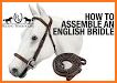Bridle related image