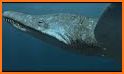 PredatorX related image