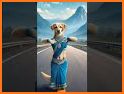 Pet Master:HD Remastered related image