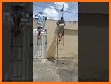 Tips kwai Videos shorts related image