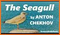 The Seagull related image