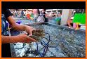Fresh Seafood related image