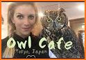 Owl House Cafe related image