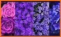 Purple Flowers Wallpaper HD related image