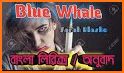 Blue Whale Theme related image