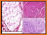 Pathology Review Quiz related image