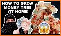 Money Tree - Earn Easy Cash related image
