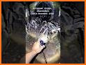 Spider Island: Survival Game related image
