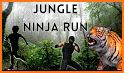 Ninja Jungle related image