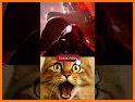 Cat Math Wizard related image
