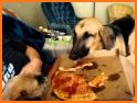 Three Dogs Pizza related image