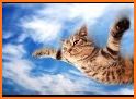 Cat Sky Fly related image