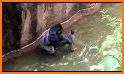 US Police Monkey Rope Hero:Police Shooting Attack related image