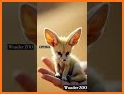 Dream Zoo related image
