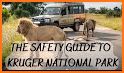 Kruger Park map & field guide related image