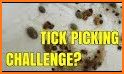 Pick & Tick related image