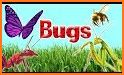 The Bugs I: Insects? related image