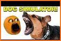 Runaway stray Dog Simulator : Dog Life Simulation related image