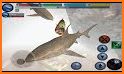 Wildlife Simulator: Shark related image