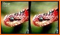 Snake 3d related image