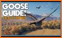 Goose Duck Guide related image
