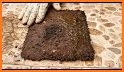 Clean My Carpet! - So Dirty! related image