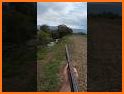 Duck Hunting with Gun related image