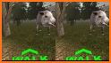 Wild Jungle Tour VR - Animals related image