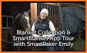SmartBlanket related image