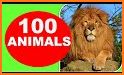 100+ Animal Sounds related image