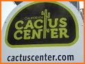 California Cactus related image