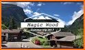 Magic Woods related image