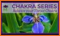 Chakra Mindfulness related image