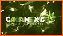 CannaMexico related image