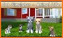 My Virtual Pet Games: Animal Escape Cat Simulator related image