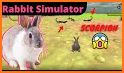 wild pet rabbit animal simulator bunny games related image