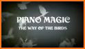 Funny Piano Magic related image