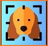 Dog scanner - Dog Breed ID related image