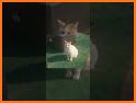 ReS48 - Cute Autumn Cats related image