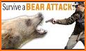 Pest Shooting Attack Survival related image