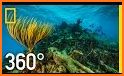 VR Ocean Aquarium 3D - Underwater National Park VR related image