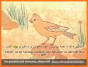 Learn Persian (Farsi) Free related image