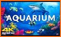 Aquarium Fish Launcher Theme related image